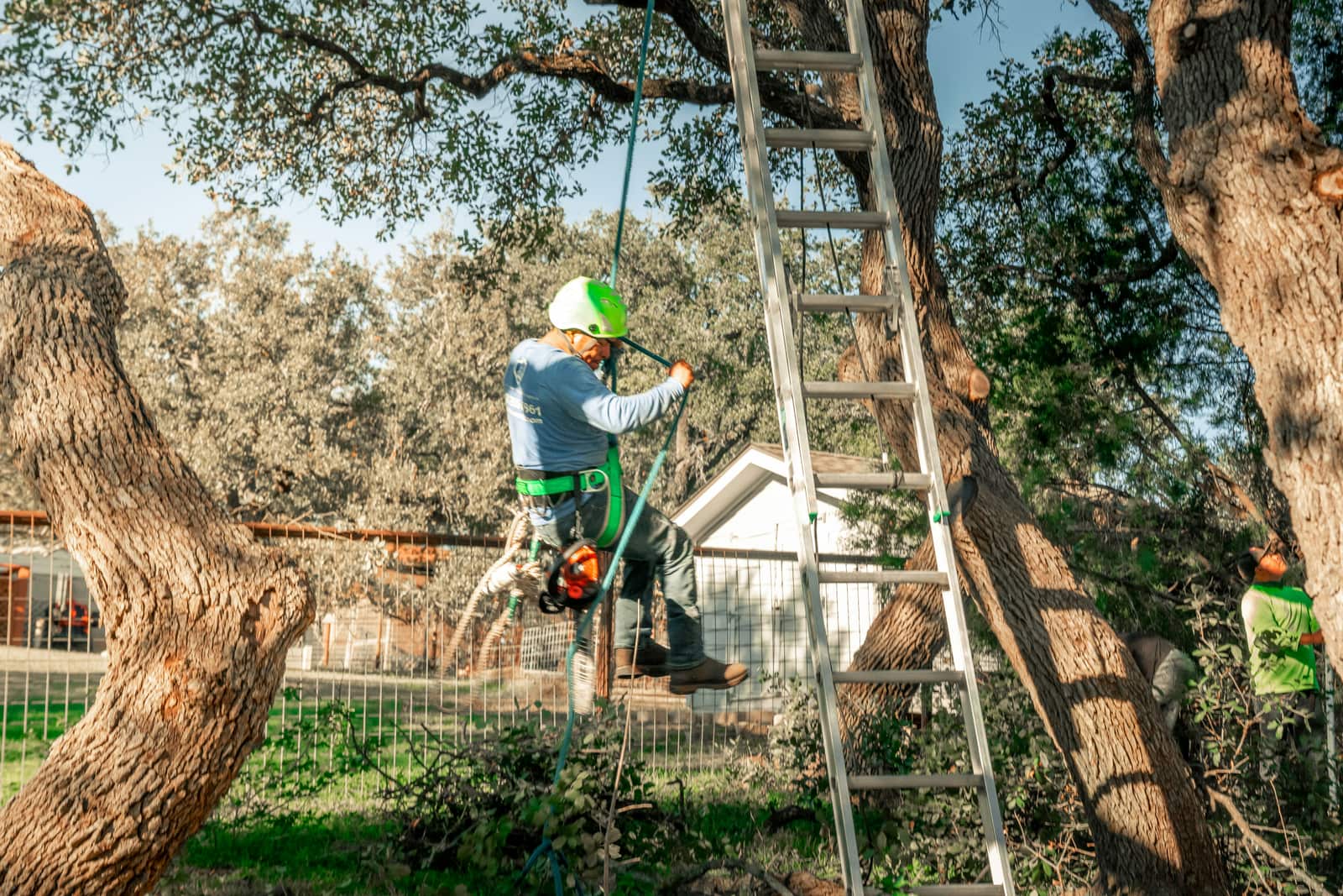 Fence installation and repair