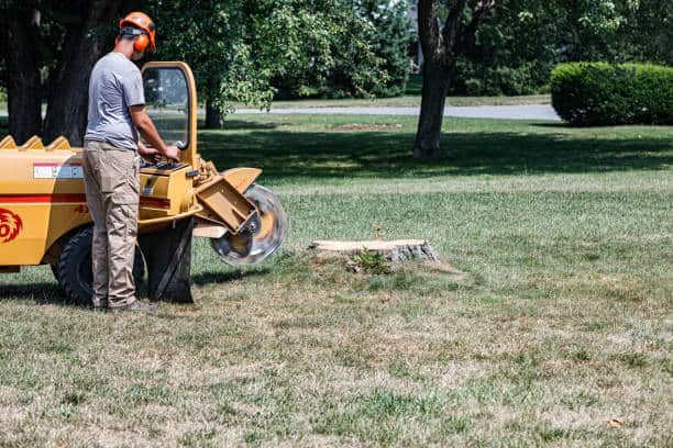 Outdoor patio and kitchen construction